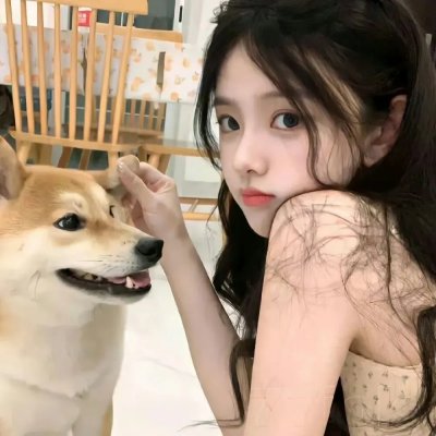 在那遥远的北方